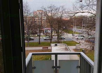 Siatki zabezpieczające dla kotów na okno Bezinwazyjny Montaż Warszawa