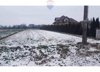Działka budowlana i las