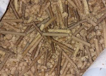 Pellet sosnowy pozostałości