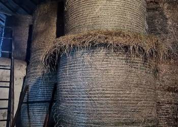 Siano z tego roku baloty