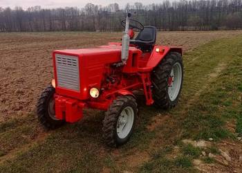 Władimiriec Rusek t25