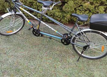 Rower Tandem