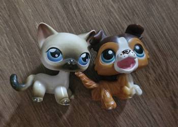 Collie I kotek pet shop oryginalne