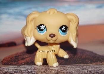 LPS Littlest Pet Shop spaniel 748 oryginalny target exclusive oryginał