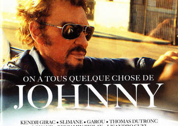 On A Tous Quelque Chose De Johnny