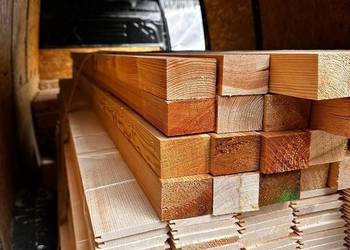 Legary modrzew syberyjski 50x70 mm / 50x100mm