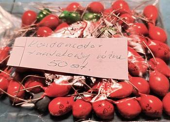 Kondensator tantalowy.