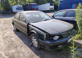 Na części Maxima qx