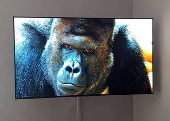 TV LG OLED55CX3LA 4K UHD 55 cali, Tryb stroboskopowy, stroboskop 100Hz