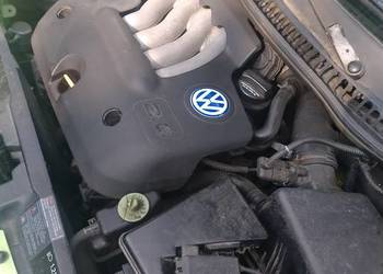 VW Beetle