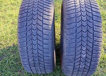 Opony zimowe frigo HP 2 215/55/16