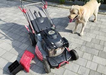 Kosiarka spalinowa Subaru