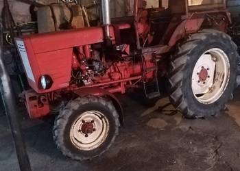 Władimirec T-25 Rusek