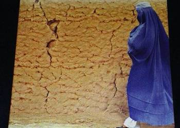 Ukradziona twarz. Mieć 20 lat w Kabulu - Chebeka Hachemi - Latifa