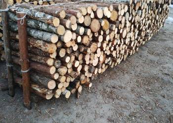 Okazja!!! Drewno opałowe