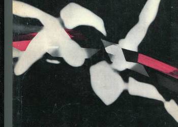 Impresje sportowe - Arkady Brzezicki