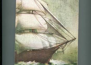 Czarny Łabędź -Rafael Sabatini