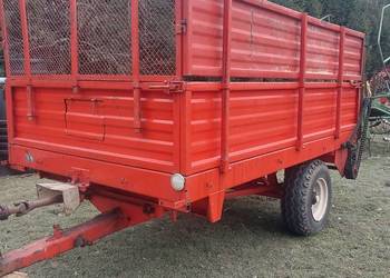 Rozrzutnik agromet górski