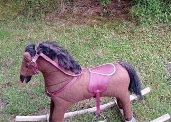 Konik na biegunach PRL