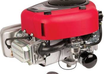 Silnik, wał pionowy, 17.3 KM 4175, jednocylindrowy Briggs & Stratton 31R77…