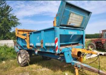 Rozrzutnik rolland, Rozrzutnik rolland,