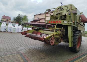 SPRZEDAM TANIO !!! kombajn zbożowy- do fasoli CLAAS SENATOR