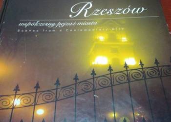 Rzeszów współczesny pejzaż miasta