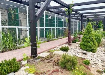 Ary Amazonki Kakadu Żako Piony Park Papug Kraków