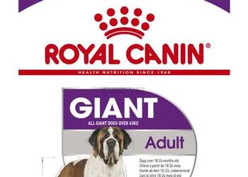 Karma dla psa Royal Canin Giant Adult 15kg OKAZJA!