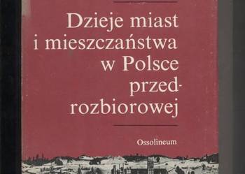 Dzieje miast i mieszczaństwa w Polsce przedrozbiorowej