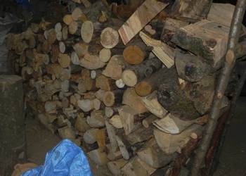 Drewno opałowe topola osika