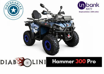 Diabolini Inny Cross Diabolini Hammer 300 Pro Transport Raty Fvat Rozruszn…