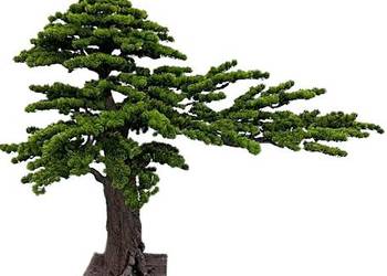 Sztuczne drzewko Bonsai Premium 150x85x190