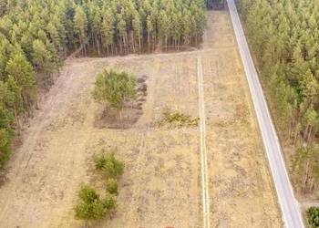 DZIAŁKA BUDOWLANA 1000 m² | ASFALT | LAS | SPOKOJNA OKOLICA | KRAWCOWIZNA