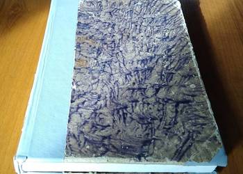 Podstawy fizyki statystycznej i termodynamiki / A. I. Anselm