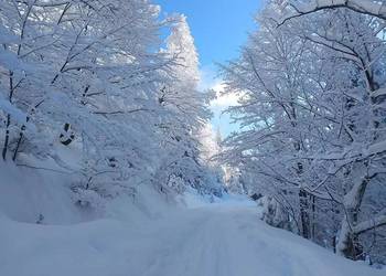 SZALONY KULIG - WIERCHOMLA ! - Wyjazd z Nowego Sącza !