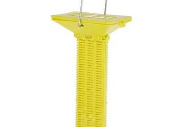 Przynęta na muchy  299835