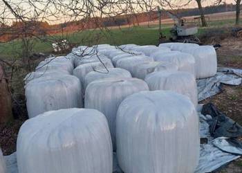 Siano/Sianokiszonka 120x120