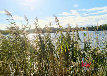 Działka na sprzedaż 1486m2 Jaromierz