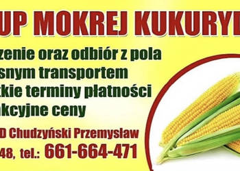 SKUP MOKREJ KUKURYDZY!