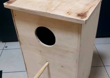 budka lęgowa papuga