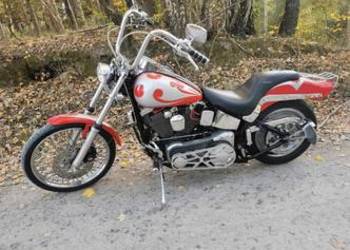 Harley-davidson softail custom