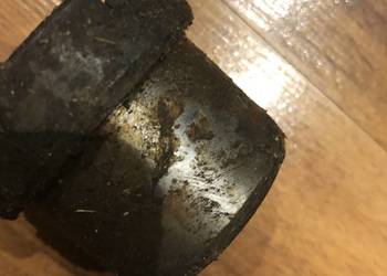 nowe sprzęgło kłowe dzik