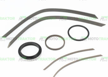 ZESTAW NAPRAWCZY WYSPRZĘGLIKA MASSEY FERGUSON 3900244M91