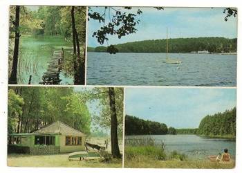 ZIEMIA LUBUSKA JEZIORO CZYSTE LIPIE SZARCZ GRZYBNO WIELOWIDOKOWA ZIEMIA LUBUSKA JEZIORO CZYSTE LIPIE SZARCZ GRZYBNO WIELOWIDOKOWA