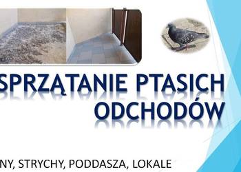 Sprzątanie ptasich odchodów, czyszczenie, dezynfekcja na gołębie kleszcze,