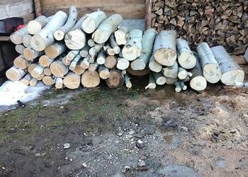 Sosna w metrach lub dziabane mogę przywiesc