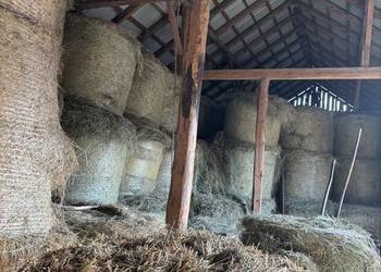 Sprzedam siano pierwszy pokos