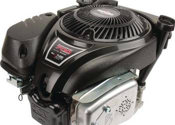 Silnik, wał pionowy, 5.0 KM 750 EX, jednocylindrowy Briggs & Stratton 1006…