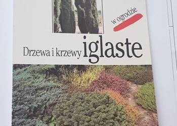DRZEWA I KRZEWY IGLASTE Piotr Muras